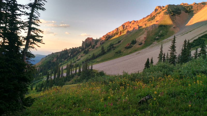Sunset in the Colorado mountains with wildflowers